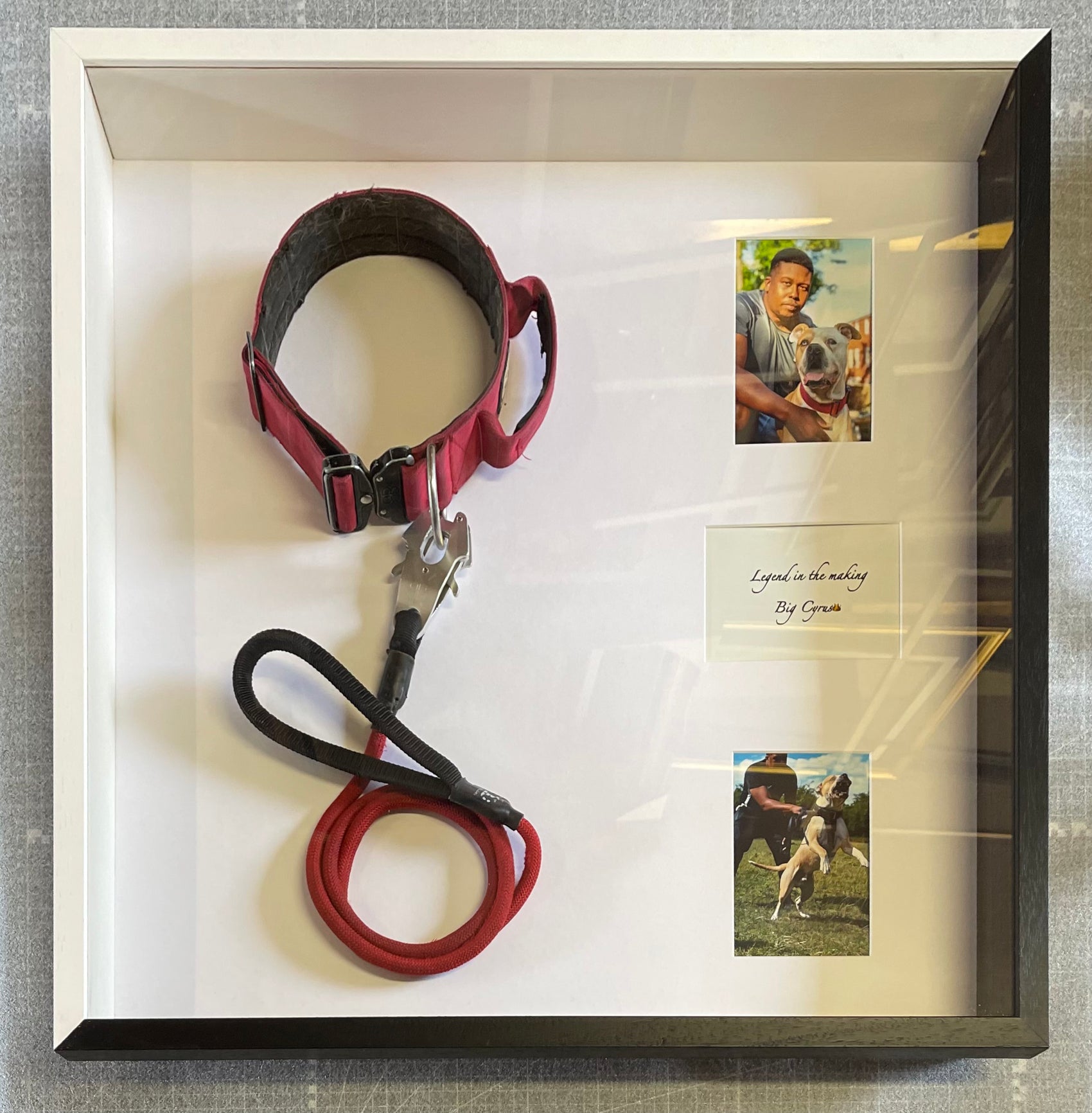  Versus Arts Framing