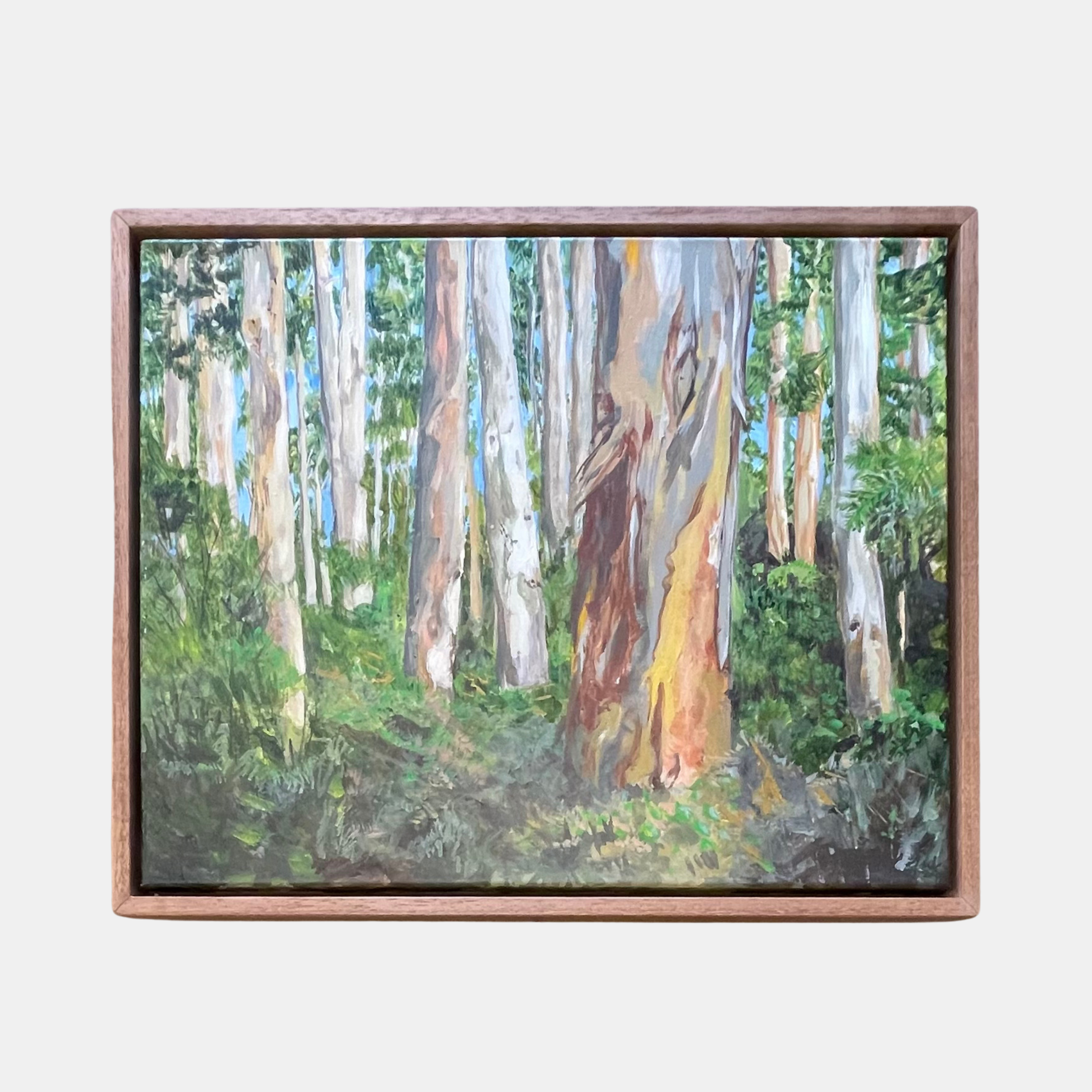  Versus Arts Framing