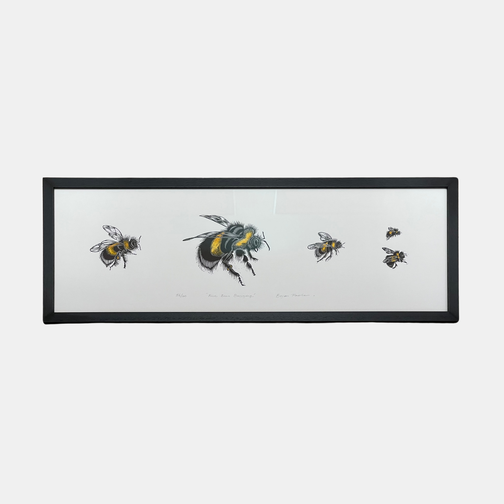  Versus Arts Framing